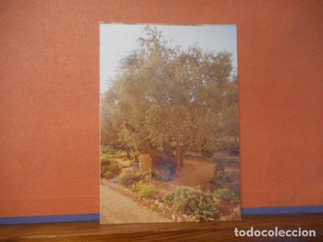 Cartes Postales: BONITA POSTAL NUEVA. JERUSALEM
