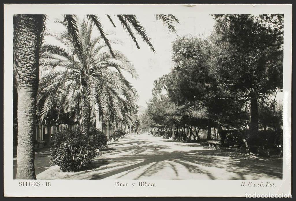 Postales: Barcelona. SITGES. Pinar y ribera. - Foto 1