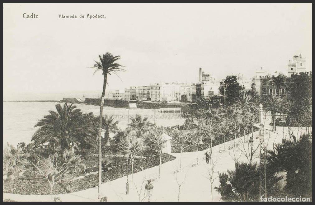 Postales: C&aacute;diz. CADIZ. Alameda de Apodaca. - Foto 1