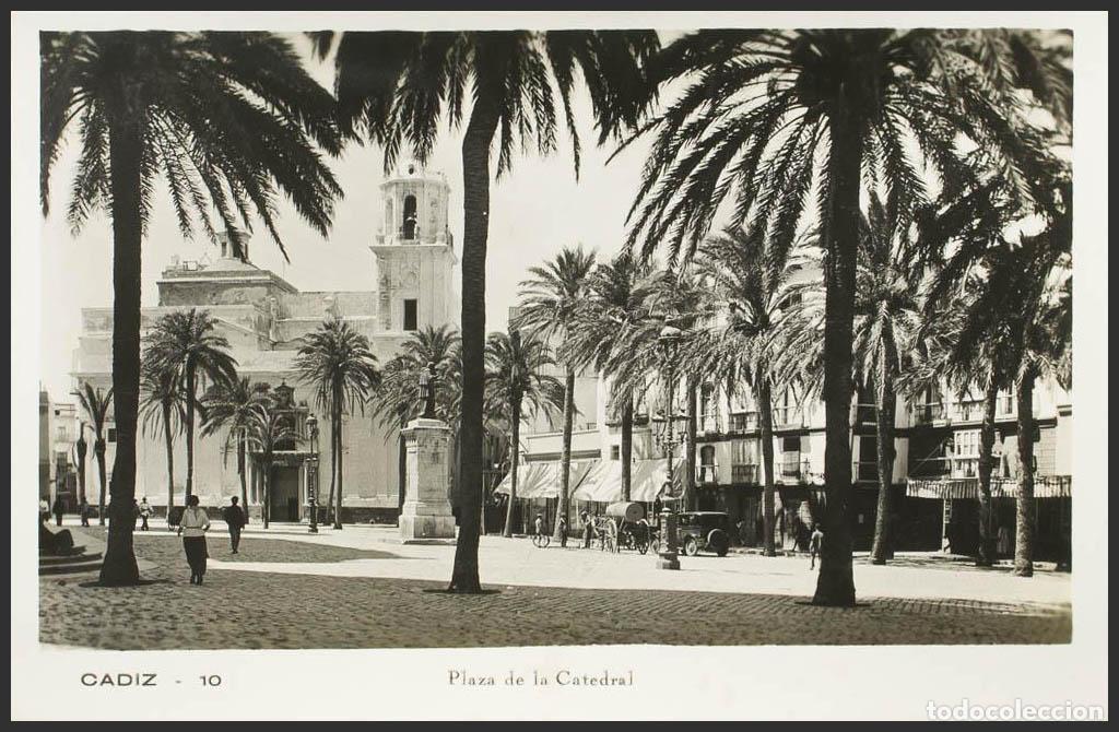 Postales: C&aacute;diz. CADIZ. Plaza de la Catedral. - Foto 1