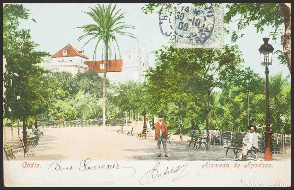 Postales: C&aacute;diz. CADIZ. Alameda de Apodaca. - Foto 1