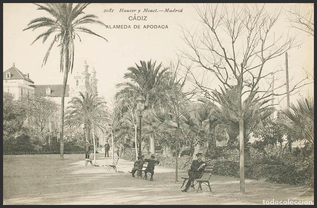 Postales: C&aacute;diz. CADIZ. Alameda de Apodaca. - Foto 1