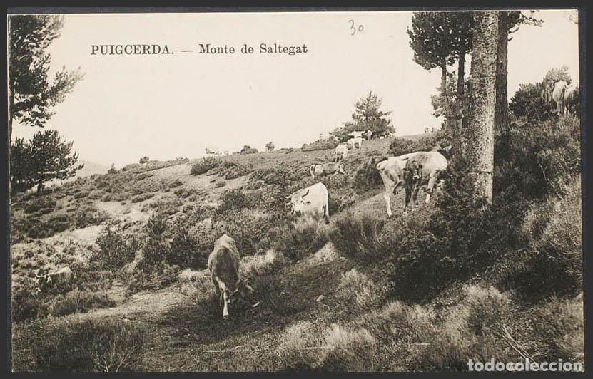 Postales: Gerona. PUIGCERDA. Monte de Saltegat. - Foto 1