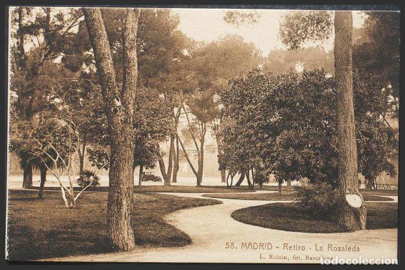Postales: Madrid. MADRID. Parque del Retiro. La Rosaleda. - Foto 1