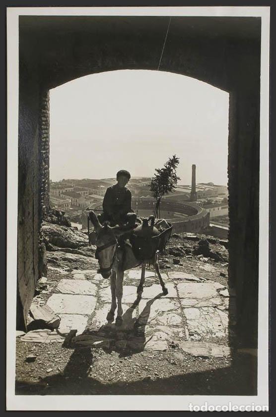 Postales: M&aacute;laga. MALAGA. Subida al Castillo.