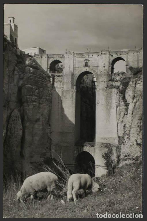 Postales: M&aacute;laga. RONDA. Puente Nuevo. - Foto 1