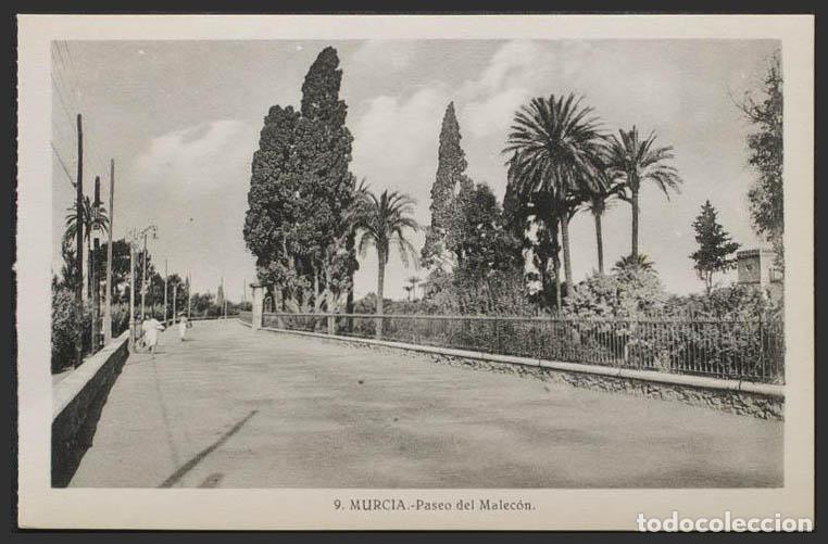 Postales: Murcia. MURCIA. Paseo del Malec&oacute;n. - Foto 1
