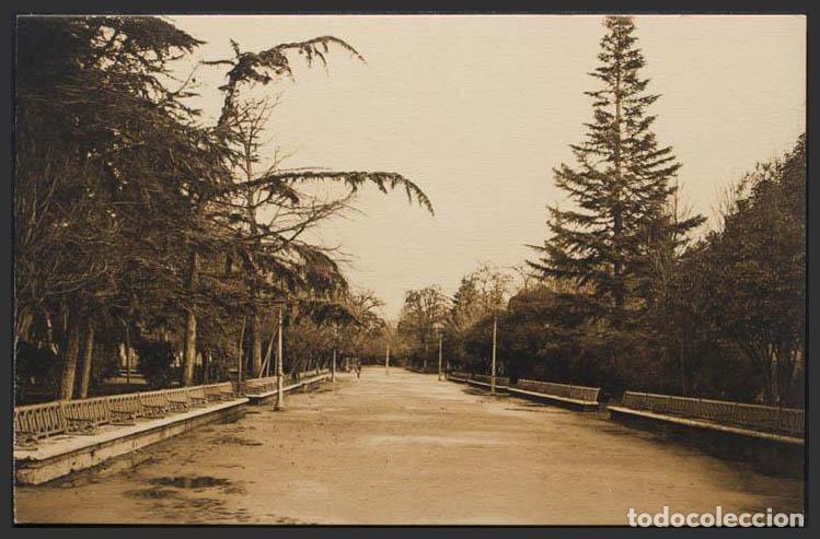 Postales: Palencia. PALENCIA. Sal&oacute;n. - Foto 1