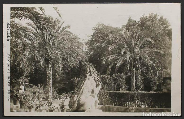Postales: Sevilla. SEVILLA. Parque de Maria Luisa. - Foto 1