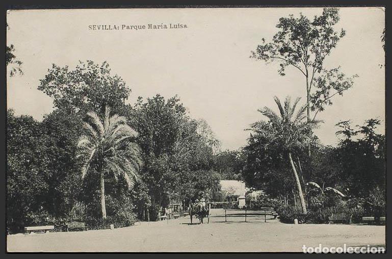 Postales: Sevilla. SEVILLA. Parque de Maria Luisa. - Foto 1