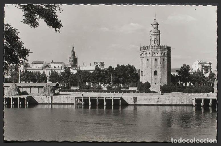 Postales: Sevilla. SEVILLA. Torre del Oro. - Foto 1