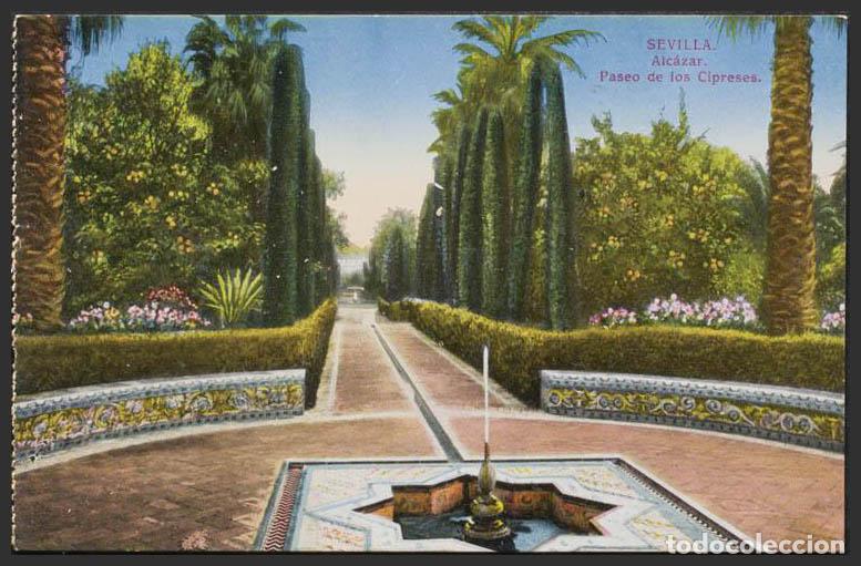 Postais: Sevilla. SEVILLA. Alcazar. Jardines. Paseo de los Cipreses.