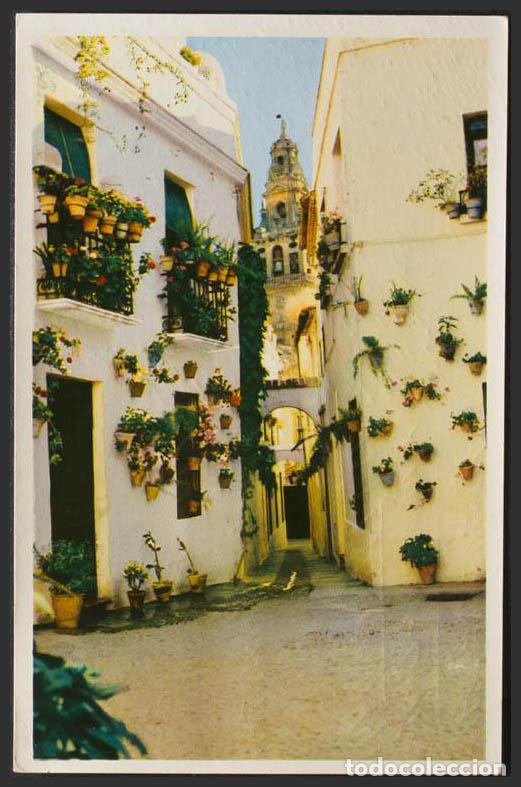 Cartoline: C&oacute;rdoba. CORDOBA. Calle de las flores.