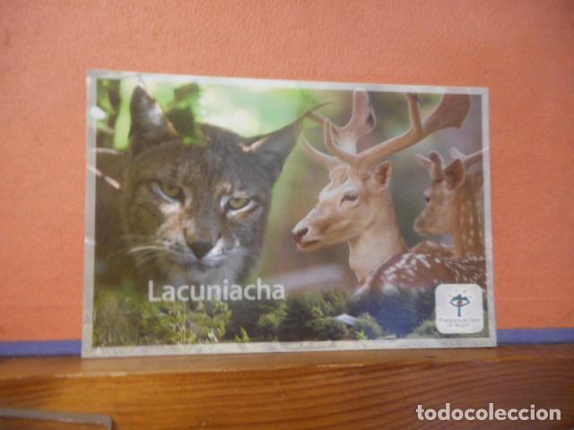 Postales: BONITA POSTAL NUEVA. LACUNIACHA - Foto 1