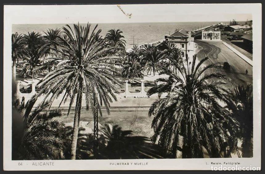 Postcards: Alicante. ALICANTE. Plalmeras y Muelle. Roisin N&ordm;64.