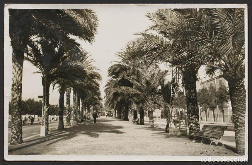 Postales: Baleares. MALLORCA. Paseo. - Foto 1