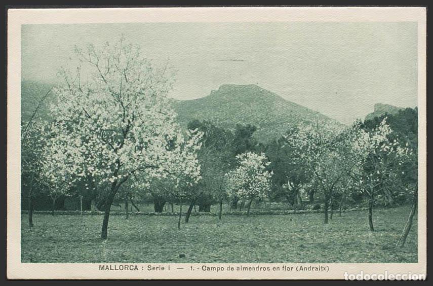 Postales: Baleares. MALLORCA. Campo de almendros en flor (Andraitx). - Foto 1