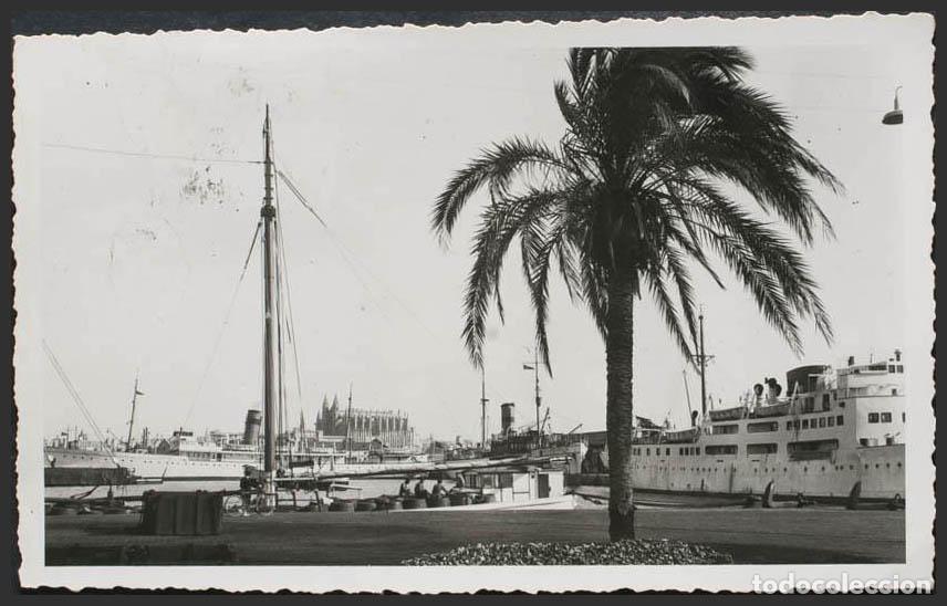 Postales: Baleares. PALMA DE MALLORCA. Puerto. - Foto 1