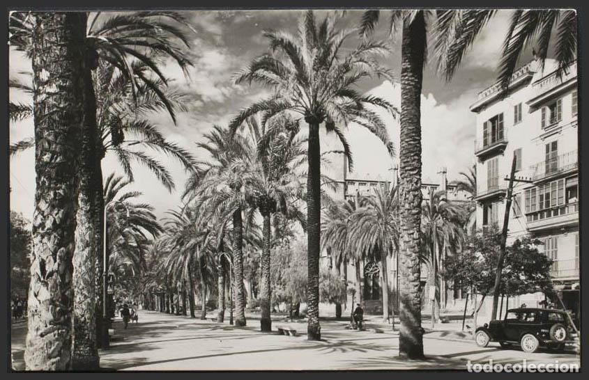 Postales: Baleares. PALMA DE MALLORCA. Paseo de Sagrera. - Foto 1