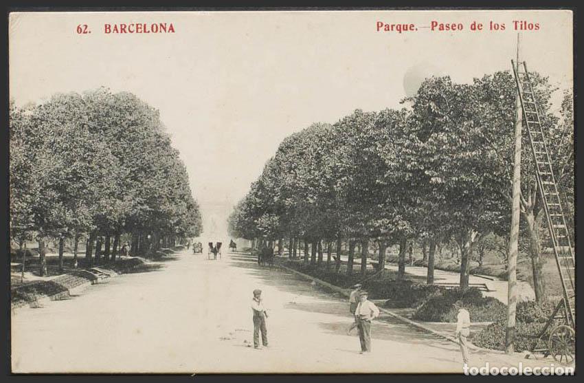 Postales: Barcelona. BARCELONA. Parque. Paseo de los Tilos. - Foto 1