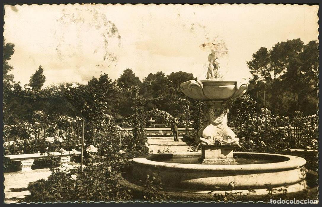 Postales: Madrid. MADRID. Retiro. Jardines de la Rosaleda. - Foto 1