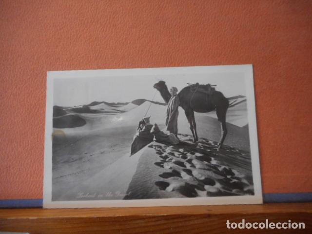 Cartoline: BONITA POSTAL CIRCULADA. DESIERTO