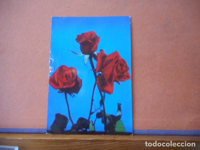 Cartoline: BONITA POSTAL CIRCULADA. ROSA SAN JORGE