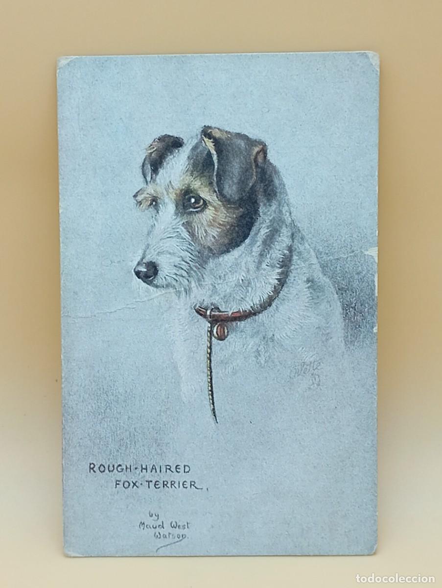 Postcards: POSTAL TUCK&acute;S POST -CARD