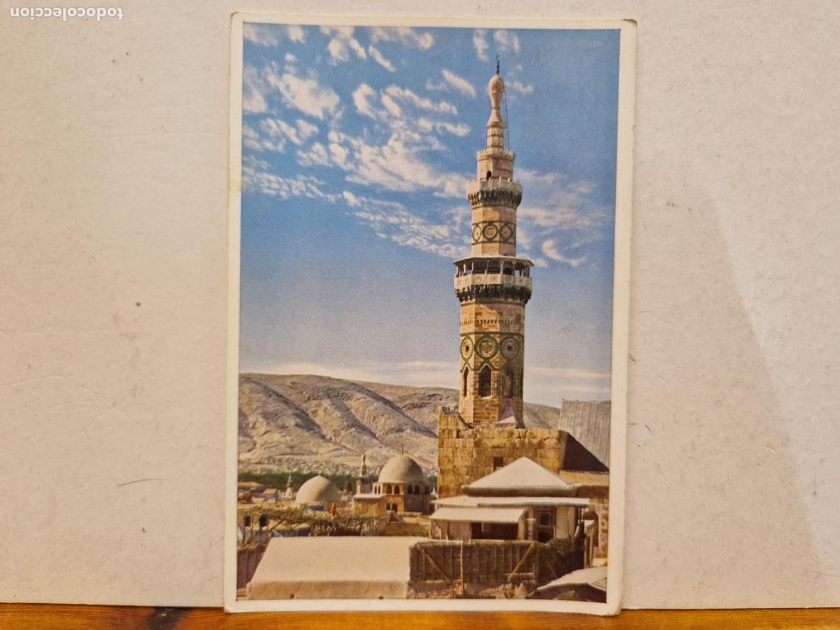 Cartes Postales: BONITA POSTAL NUEVA. DAMAS- DAMASCUS