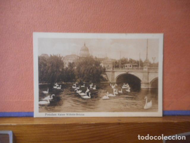 Postales: BONITA POSTAL NUEVA. LAGO DE CISNES