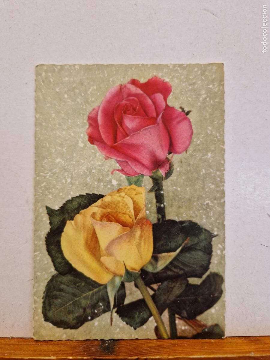 Postkarten: BONITA POSTAL NUEVA. DOS BONITAS ROSAS