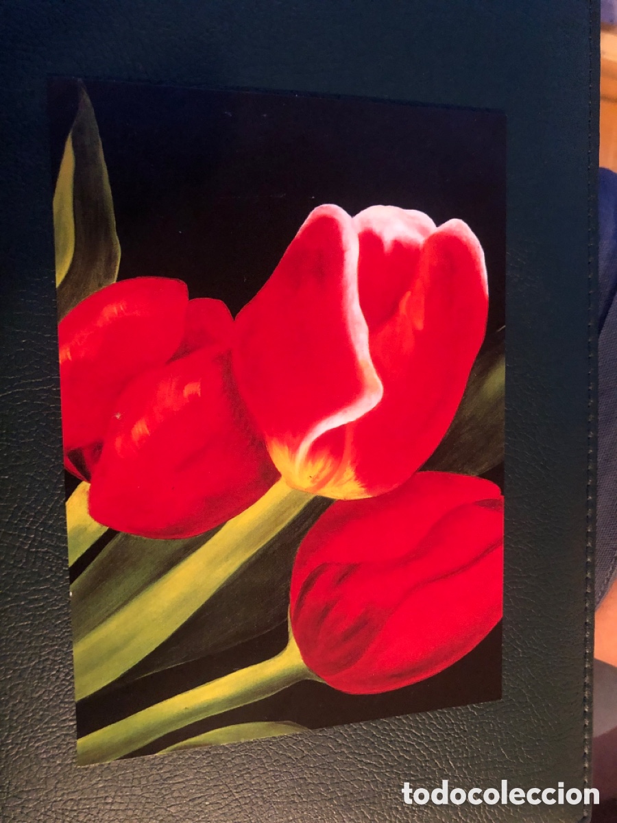 Postales: Postal Tulipanes rojos. Asociaci&oacute;n pintores con la boca y con el pie. Sin circular. ASM