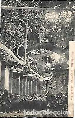 Postkarten: Portugal * & Postal, Braga, Bom Jesus, Escalera al Alto da Boa Vista (49)