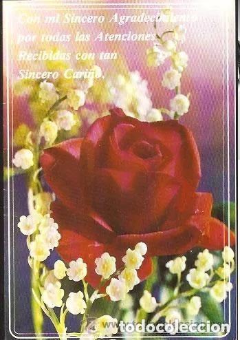 Postales: FELICITACI&Oacute;N CON TEXTO --- D&Iacute;PTICO SIN ESCRIBIR - Foto 1