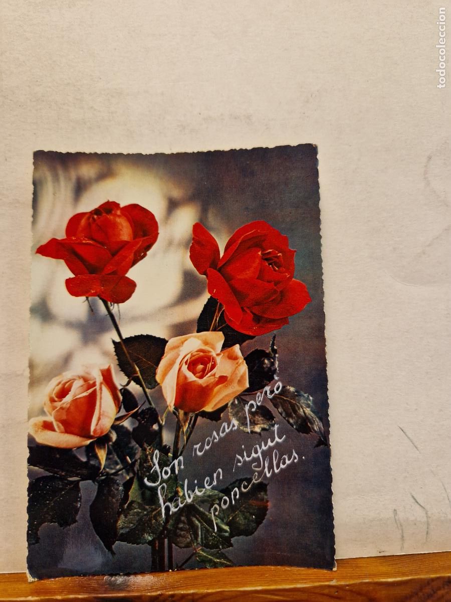 Postales: BONITA POSTAL CIRCULADA. ROSAS - Foto 1