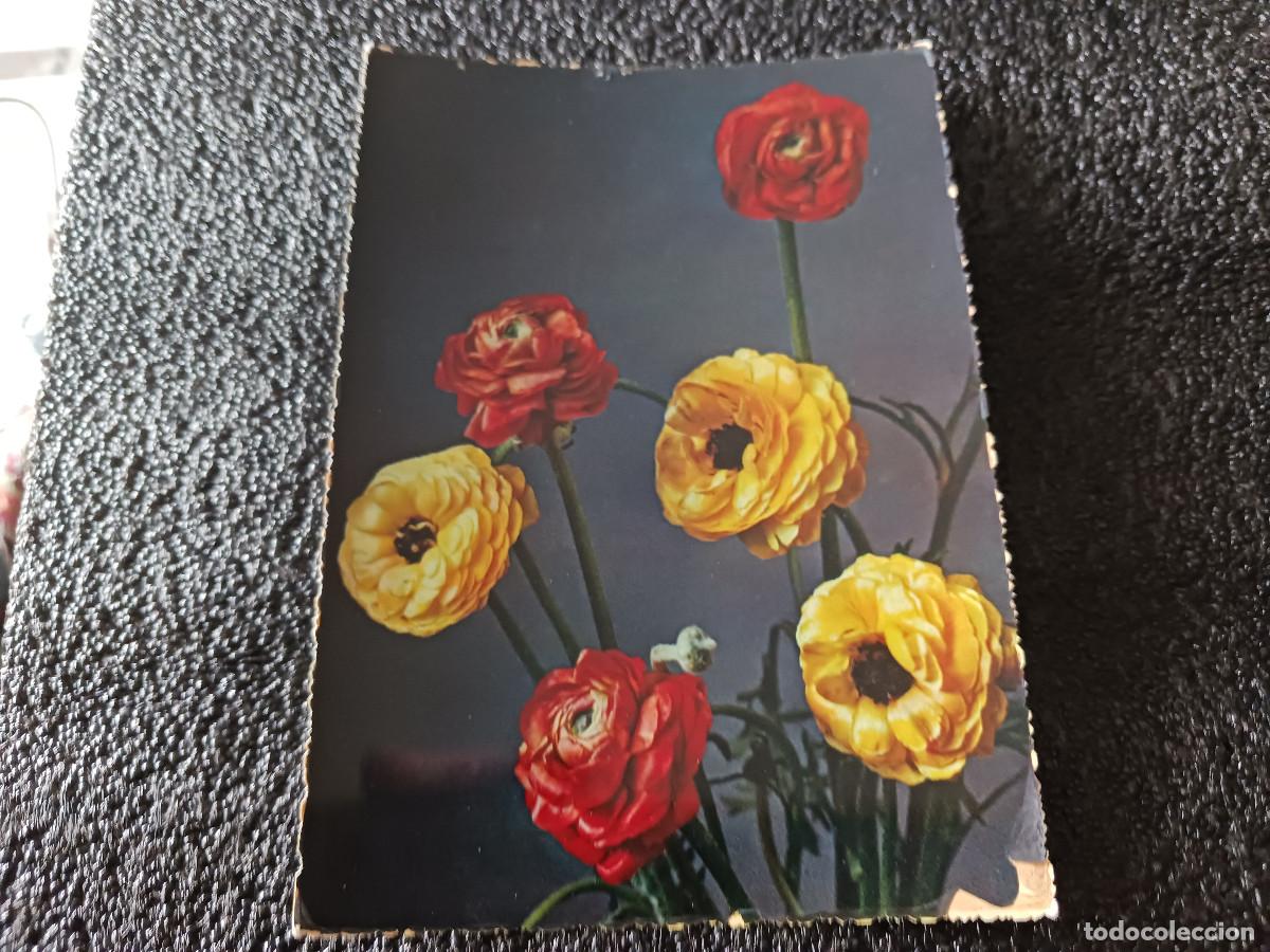 Postales: antigua postal de rosas, cecami 212 - Foto 1