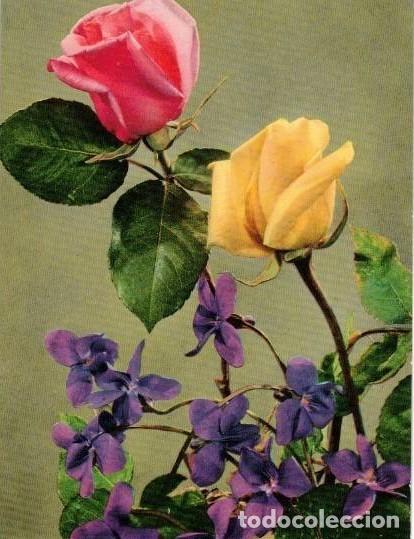 Postales: :::: Z478 - POSTAL - ROSAS - Foto 1