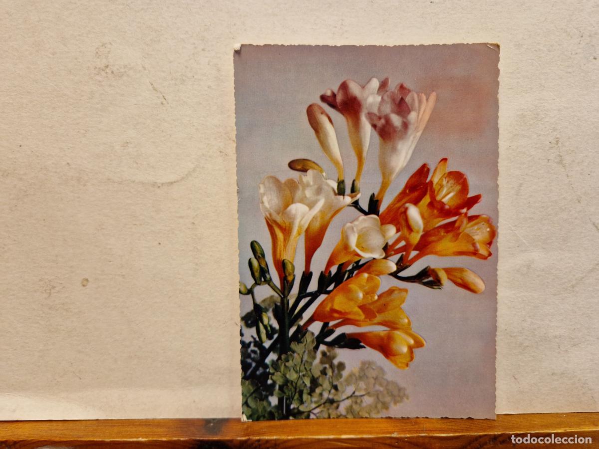 Postales: BONITA POSTAL CIRCULADA. FLOR DEL AMOR