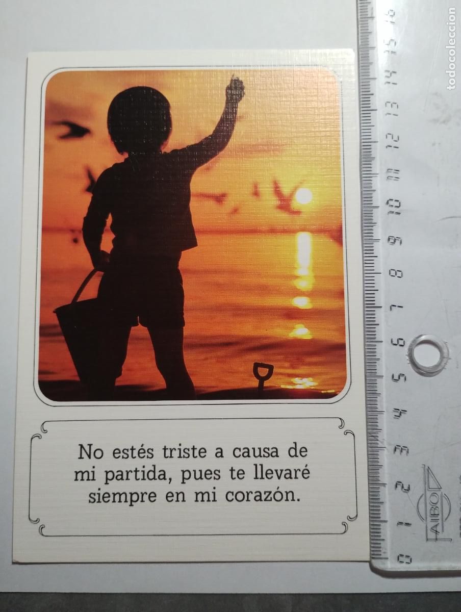 Cartoline: Postal con frase motivadora. Editorial CyZ. 8640 - C