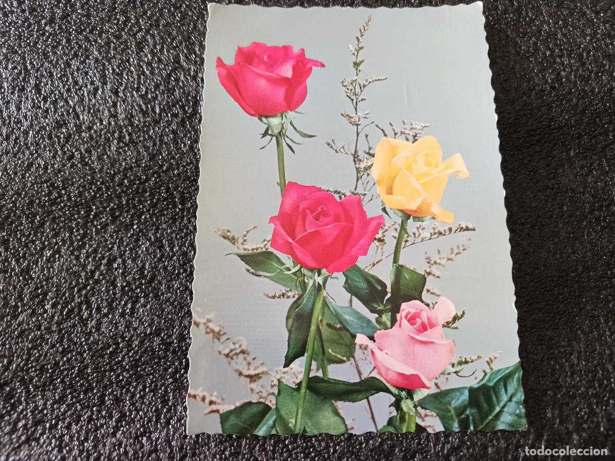Postales: rosas, c y z 5261, circulada 1963 - Foto 1