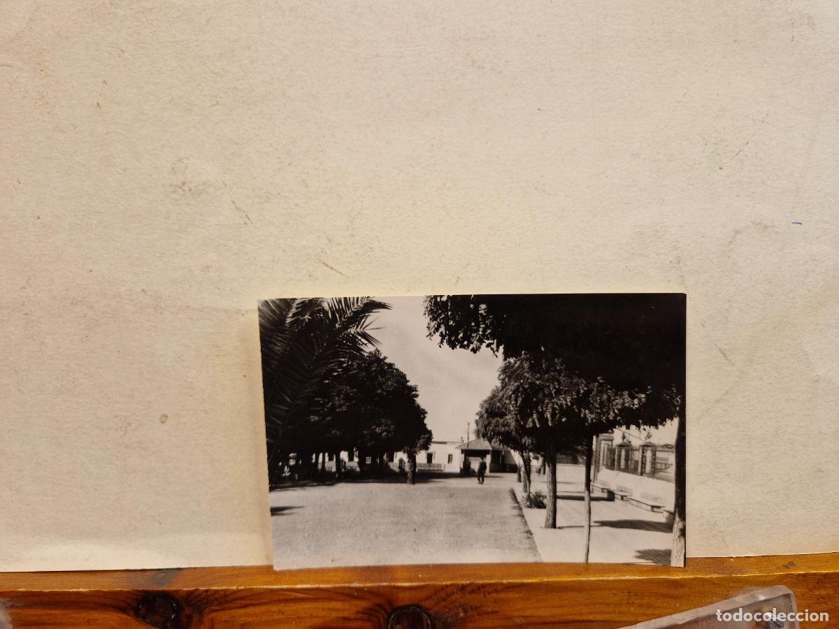 Cartes Postales: BONITA POSTAL CIRCULADA. PASEO DE JOSE ANTONIO.