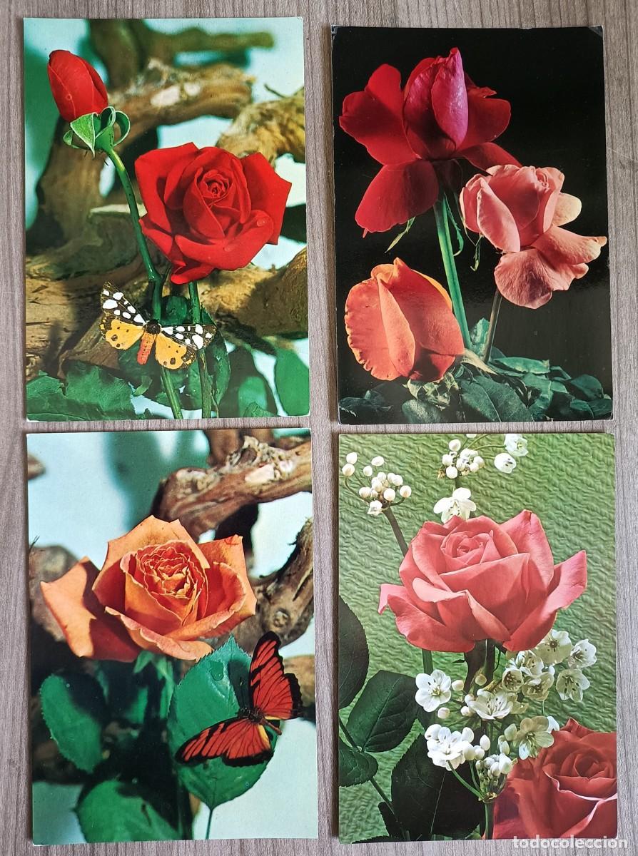 Postales: Lote 4 postales de flores - Foto 1