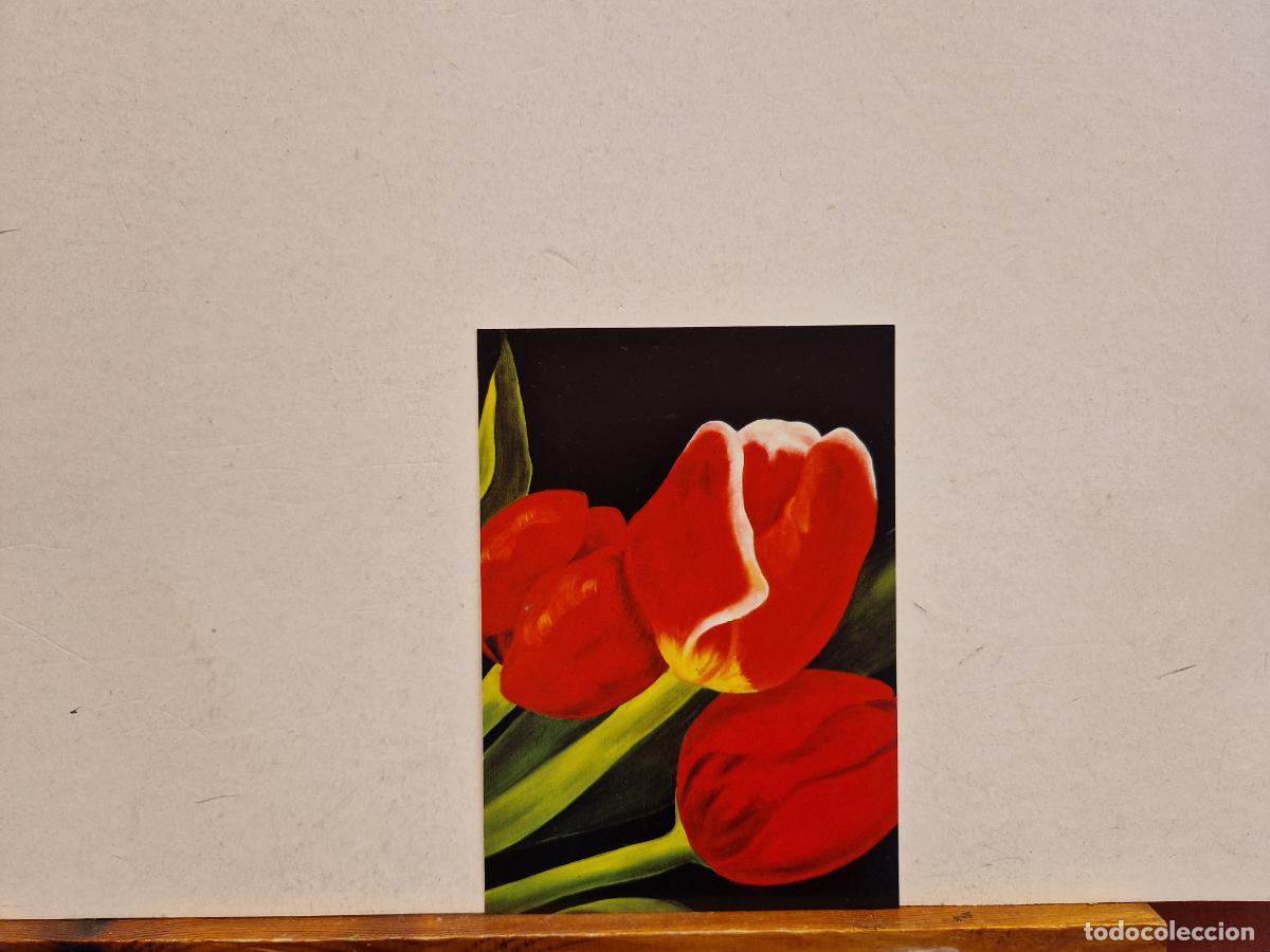 Cartes Postales: BONITA POSTAL NUEVA. TULIPANES ROJOS