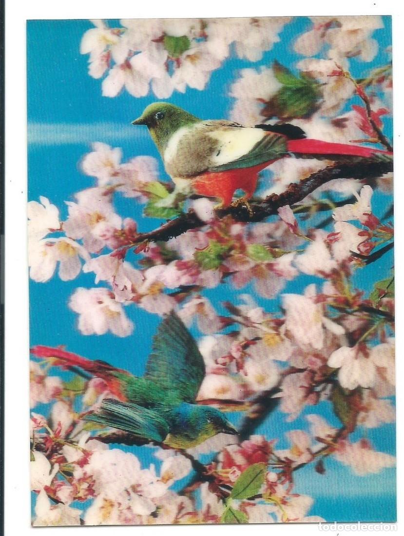 Postales: BIRDS / OISEAU SUR CERISIER.- ( HOLOGRAMA )