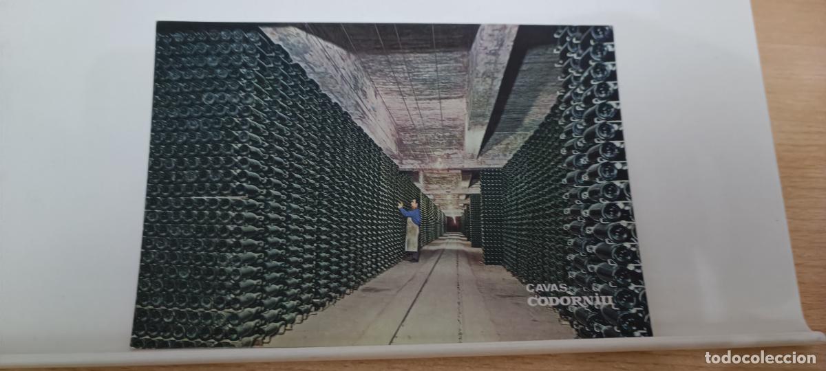 Postales: TARJETA POSTAL CAVAS CODORNIU - Botellas envejeciendo - Foto 1