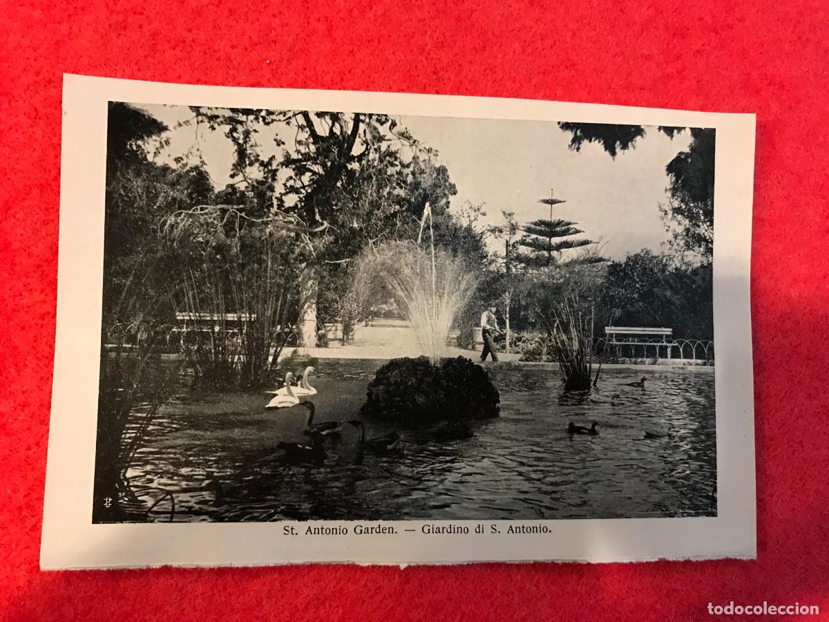 Postales: IMAGEN EN PAPEL. SOUVENIR OF MALTA. 16 X 11CM. ST. ANTONIO GARDEN