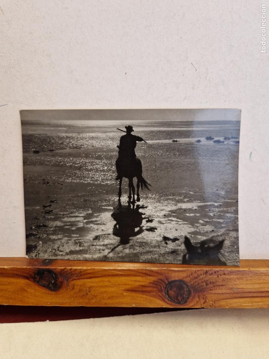 Cartes Postales: BONITA POSTAL CIRCULADA. UN HOMBRE Y SU CABALLO.