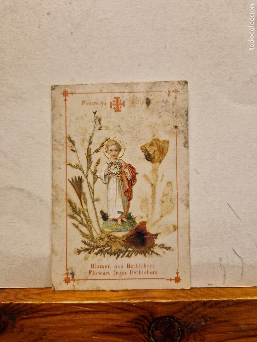 Postcards: BONITA POSTAL CIRCULADA. BLUMEN AUS BTHLEHEM.