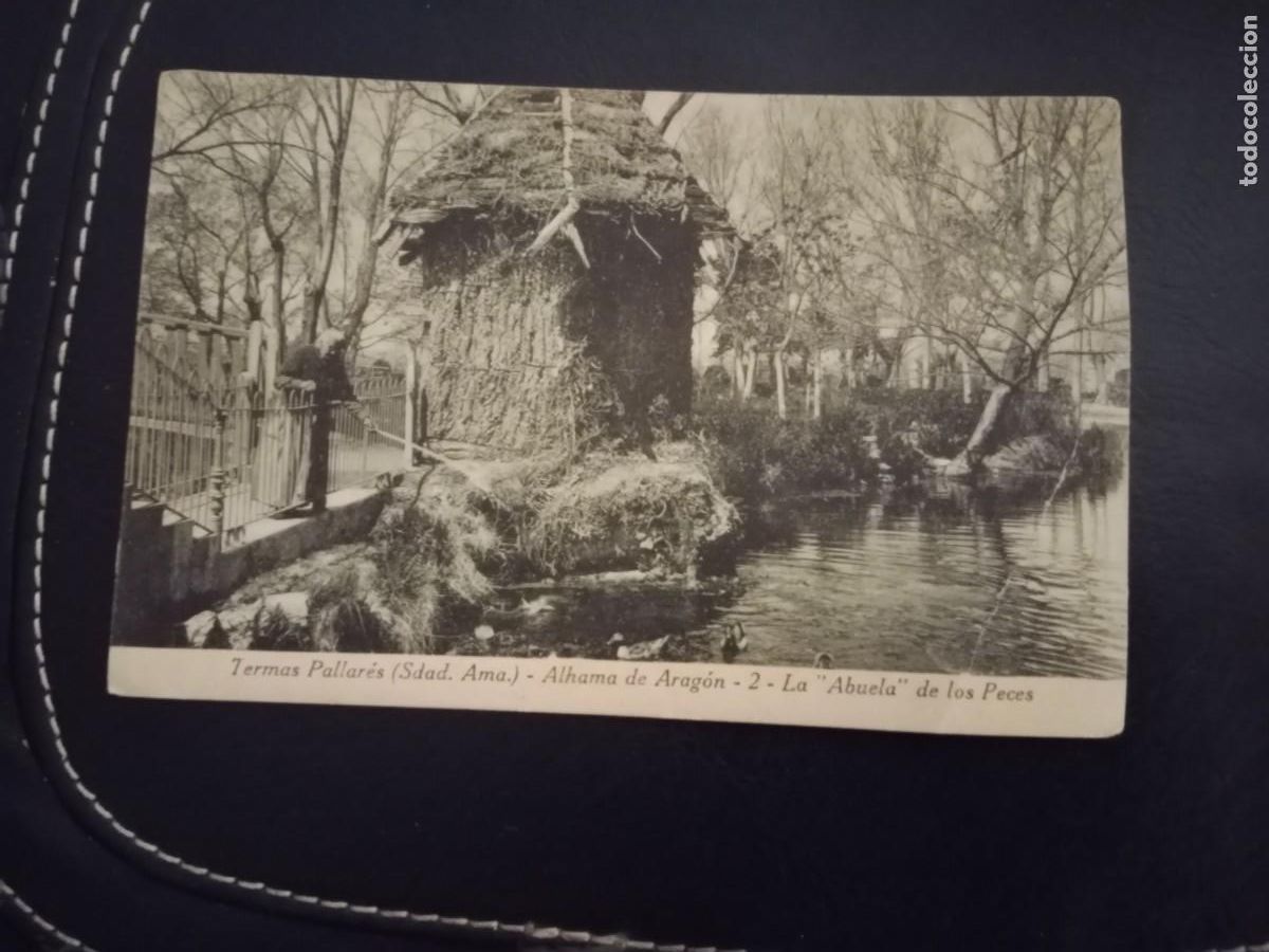 Postales: ANTIGUA TARJETA POSTAL - TERMAS PALLARES ALHAMA DE ARAGON - LA ABUELA DE LOS PECES