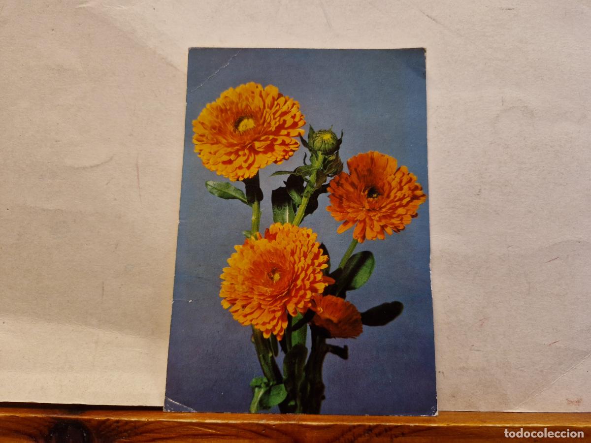 Postcards: BONITA POSTAL CIRCULADA. FLORES. CORONADAS AMARILLAS.